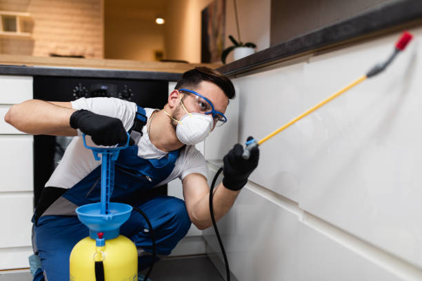 Best Bed Bug Extermination  in Springfield, NJ