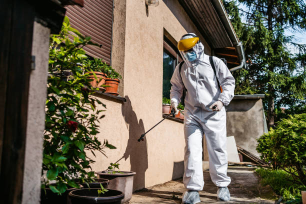 Pest Control for Restaurants in Springfield, NJ