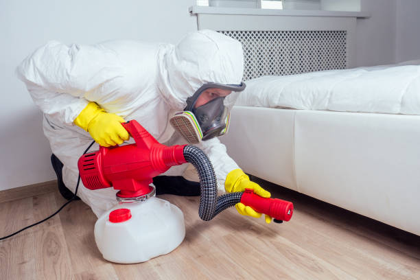 Best Emergency Pest Control  in Springfield, NJ