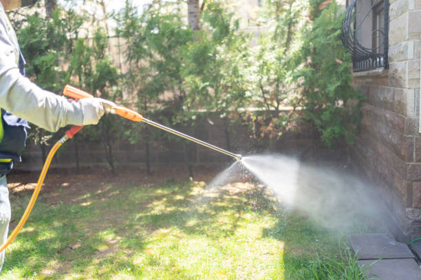 Best Termite Control Services  in Springfield, NJ