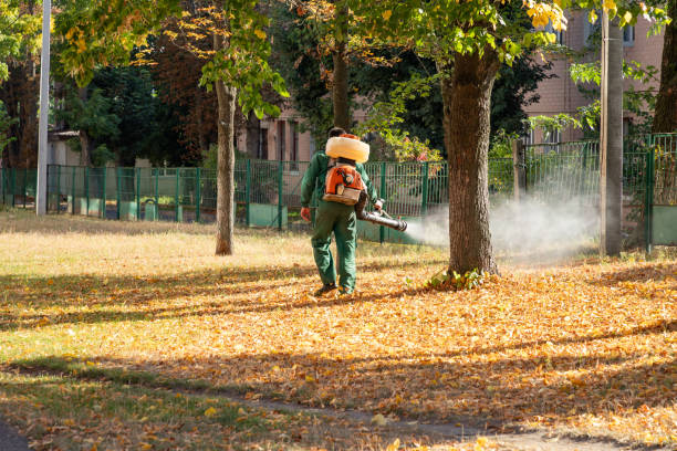 Best Commercial Pest Control Services  in Springfield, NJ