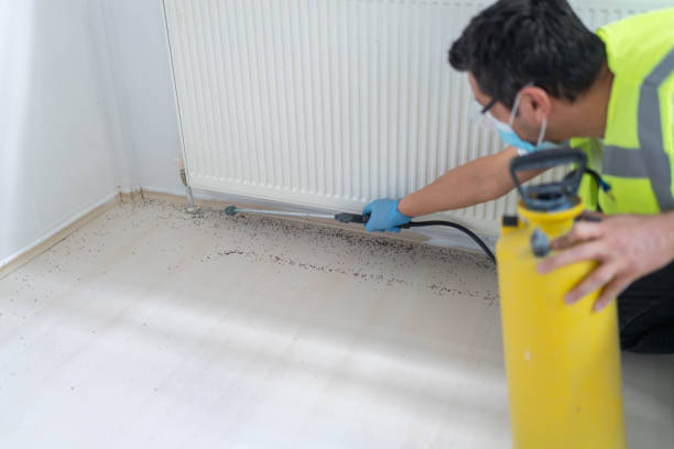 Best Cockroach Control Services  in Springfield, NJ