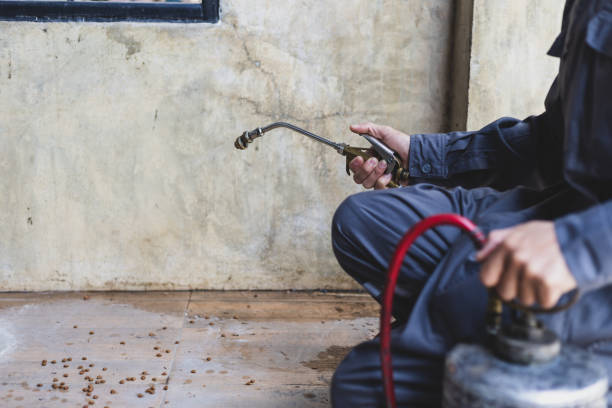 Best Exterminator Services  in Springfield, NJ